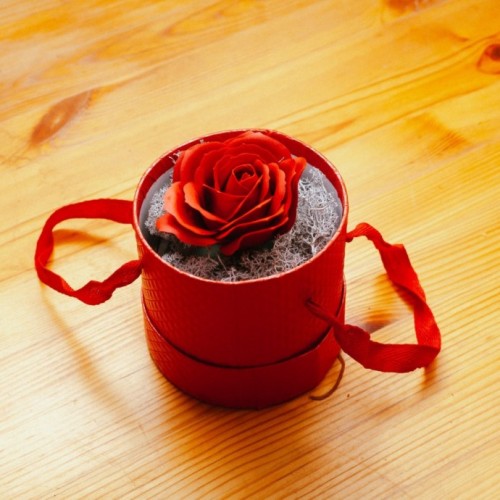 Mini Rose Treasure – Δώρο Καρδιάς