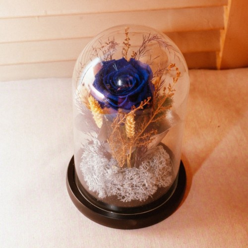 Blue Enchantment Glass Dome