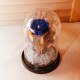 Blue Enchantment Glass Dome
