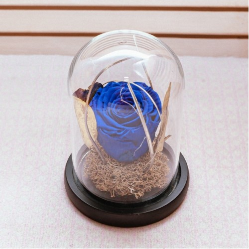 Blue Enchantment Glass Dome