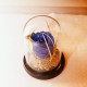 Blue Enchantment Glass Dome