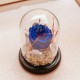 Blue Enchantment Glass Dome