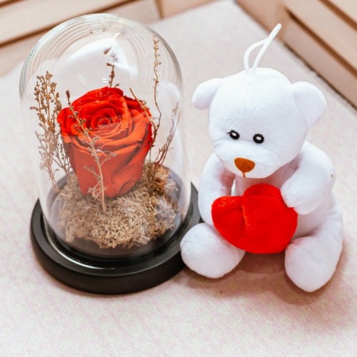 Love Gift Set – Forever Rose & Teddy