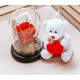 Love Gift Set – Forever Rose & Teddy