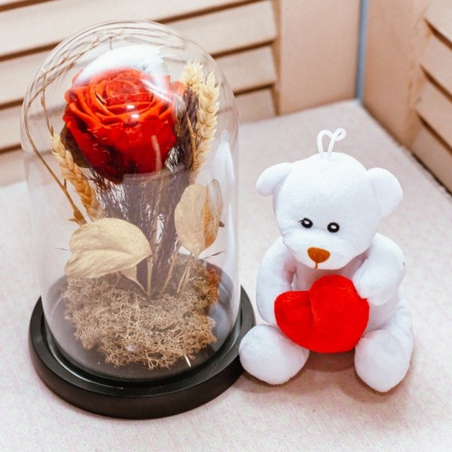 Love Gift Set – Forever Rose & Teddy