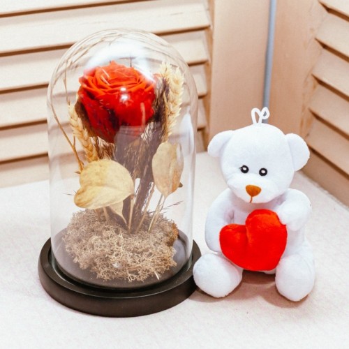 Love Gift Set – Forever Rose & Teddy