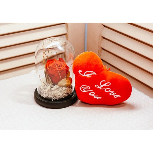 Forever Rose and " I love you" pillow σετ