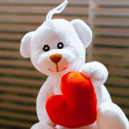 Love Bear – Plush with Heart