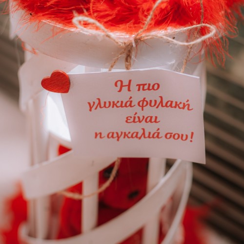 Η Αγκαλιά σου – Ρομαντική Σύνθεση με Φυτό & Αρκουδάκι