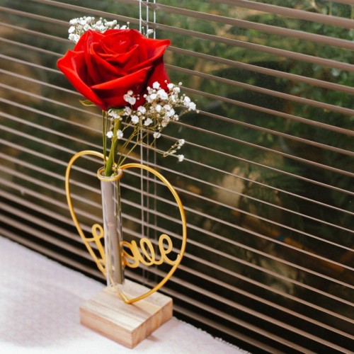 Love in a Frame 