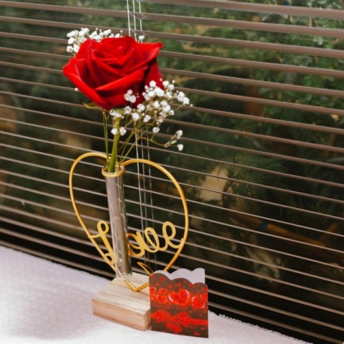 Love in a Frame 