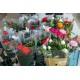 Love Roses Box Deluxe