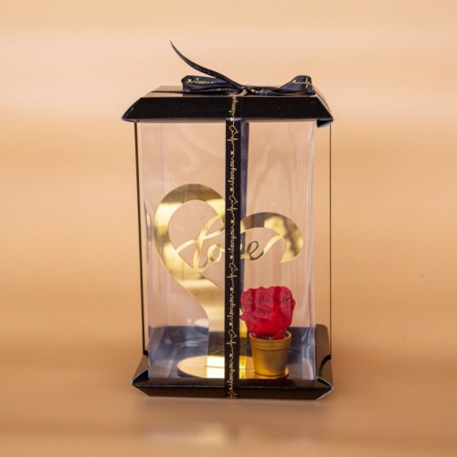 Κόκκινο Τριαντάφυλλο σε Χρυσή Βάση – Romantic Box