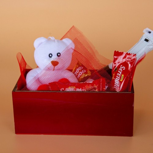 Mini Love Box – Αρκουδάκι, Σοκολατάκια & Σαμπάνια