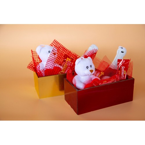 Mini Love Box – Αρκουδάκι, Σοκολατάκια & Σαμπάνια