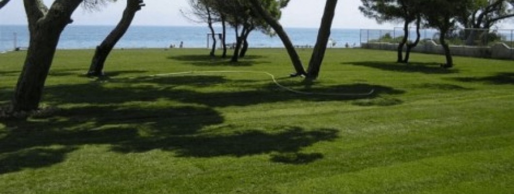 Χλοοτάπητες: Δημιουργήστε τον Ιδανικό Κήπο με Πράσινο Χαλί Χλοοτάπητες: Δημιουργήστε τον Ιδανικό Κήπο με Πράσινο Χαλί