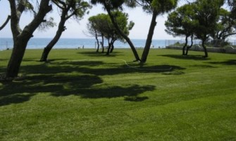 Χλοοτάπητες: Δημιουργήστε τον Ιδανικό Κήπο με Πράσινο Χαλί