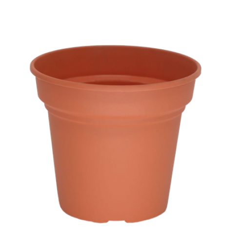 TERRACOTTA 