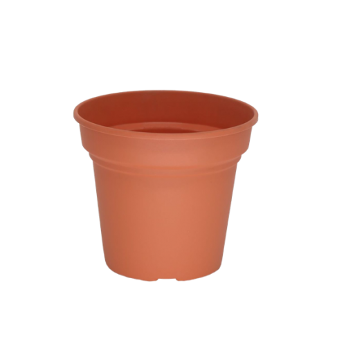 TERRACOTTA 