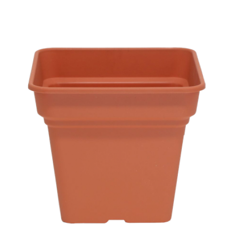 TERRACOTTA 