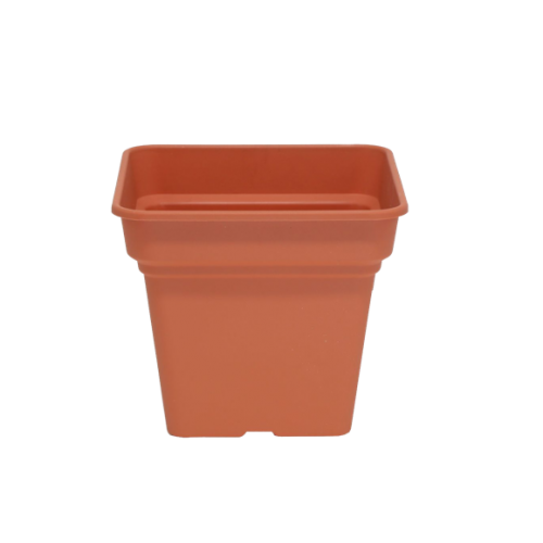 TERRACOTTA 