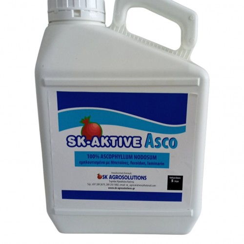 SK-AKTIVE ASCO
