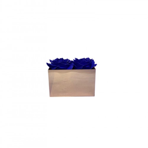 Διπλό Κουτί Plexiglass Με Αρωματικά Τριαντάφυλλα Σαπουνιού