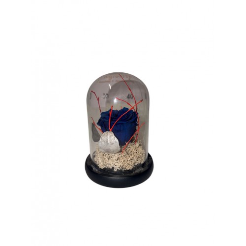 Καμπάνα Με Μπλε Τριαντάφυλλο Forever