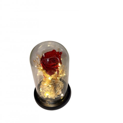 Φωτιζόμενη Καμπάνα Με Forever Τριαντάφυλλο