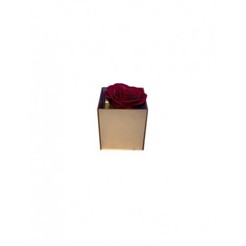 Κουτί Plexiglass Με Αρωματικό Τριαντάφυλλο Σαπουνιού