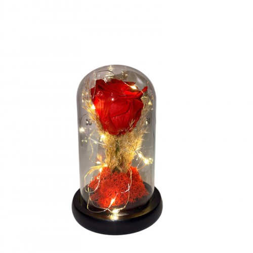 Φωτιζόμενη Καμπάνα Με Forever Τριαντάφυλλο