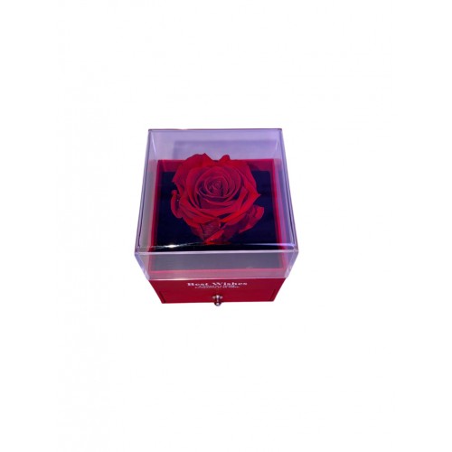 Forever Τριαντάφυλλο Σε Τετράγωνο Θόλο