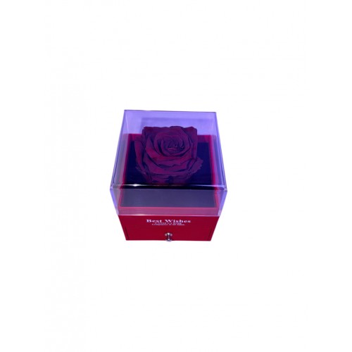 Forever Τριαντάφυλλο Σε Τετράγωνο Θόλο