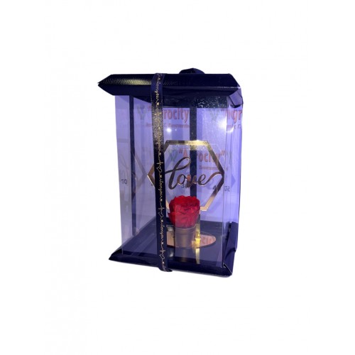 Κόκκινο Τριαντάφυλλο σε Χρυσή Βάση – Romantic Box