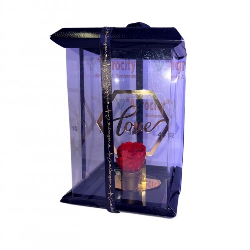 Κόκκινο Τριαντάφυλλο σε Χρυσή Βάση – Romantic Box