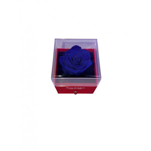 Forever Τριαντάφυλλο Σε Τετράγωνο Θόλο