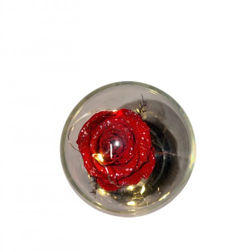 Φωτιζόμενη Καμπάνα Με Forever Τριαντάφυλλο