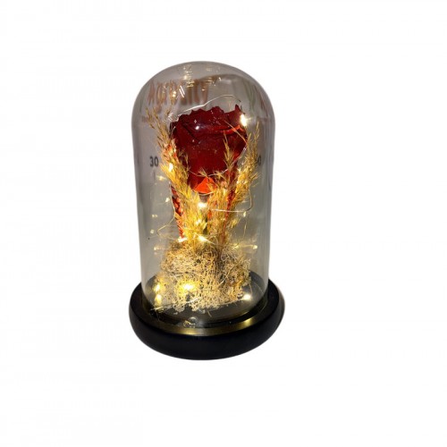 Φωτιζόμενη Καμπάνα Με Forever Τριαντάφυλλο