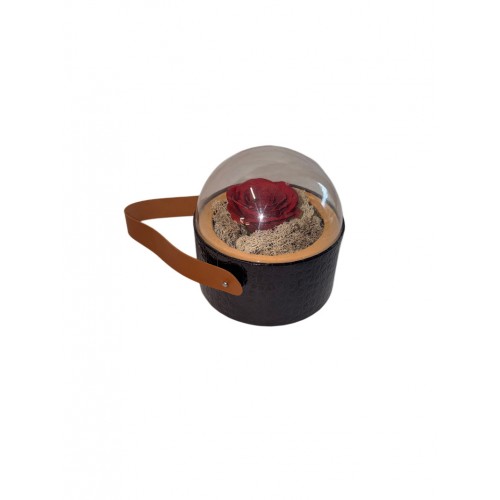 Θόλος Με Αρωματικό Τριαντάφυλλο Σαπουνιού