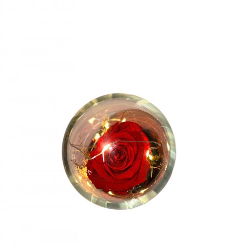 Φωτιζόμενη Καμπάνα Με Forever Τριαντάφυλλο