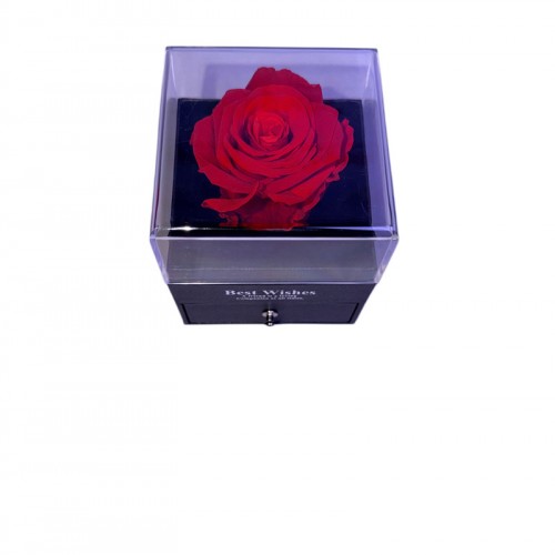 Forever Τριαντάφυλλο Σε Τετράγωνο Θόλο