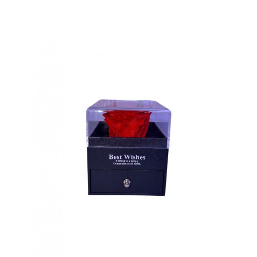 Forever Τριαντάφυλλο Σε Τετράγωνο Θόλο