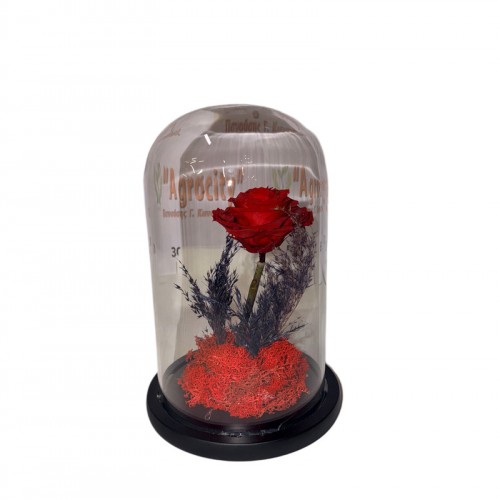 Καρδιά Τριαντάφυλλο Forever 